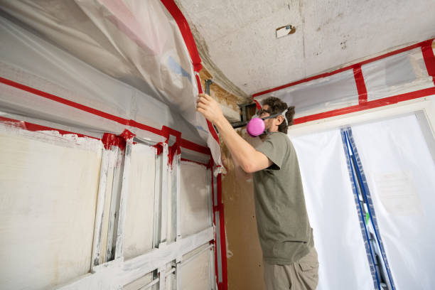 Best Emergency Mold Remediation  in Lacy Lakeview, TX