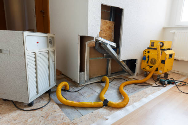 Dehumidification Services in Lacy Lakeview, TX